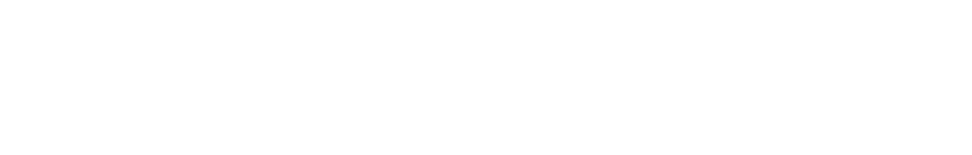 TurboVac Mini™